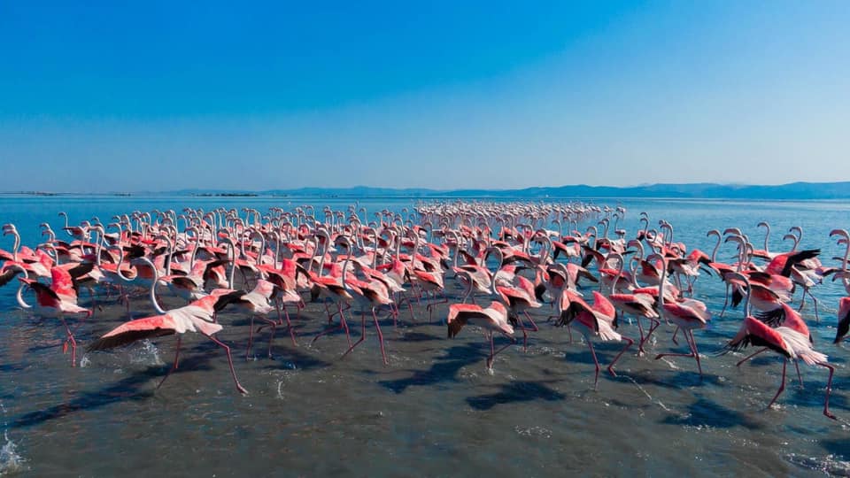 The Lagoon of Narta